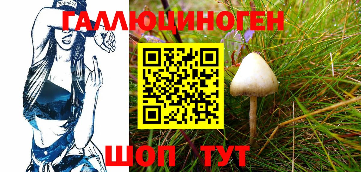 Псилоцибиновые грибы прущие грибы Кинель